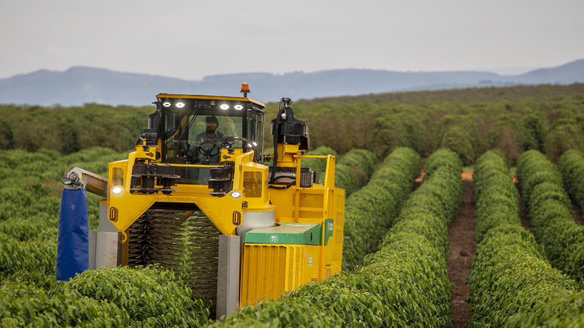 Machine of the Month Oxbo 9240 Coffee Harvester Cummins Inc.